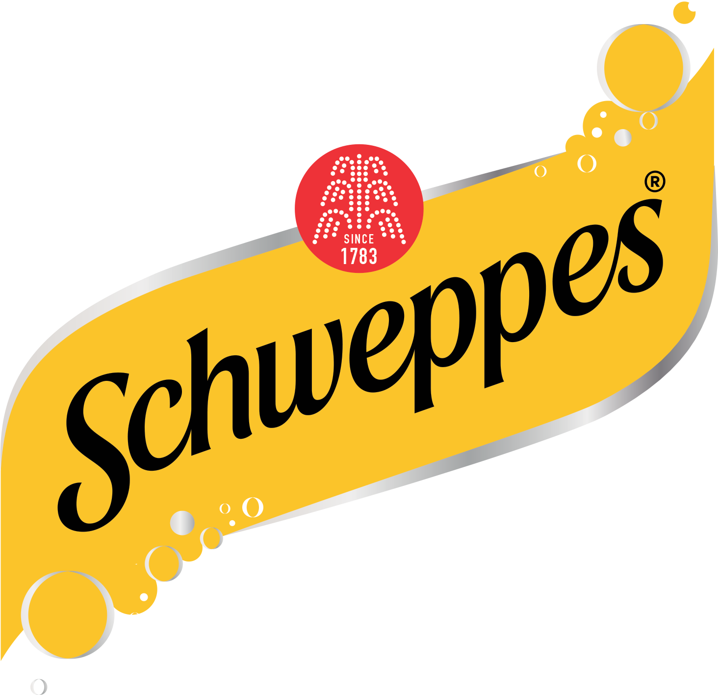 Dry Ginger Ale Zero Sugar Schweppes